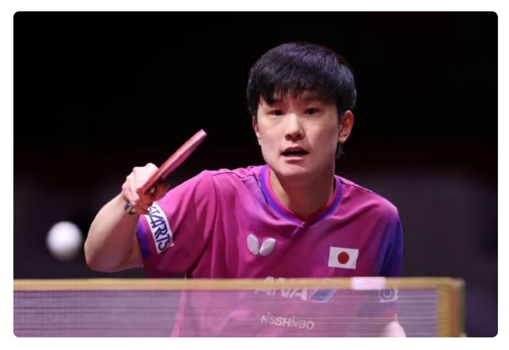 德国乒乓球队强势波兰乒乓球队,张本智和高光表现的简单介绍 德国乒乓球队强势波兰乒乓球队,张本智和高光表现的简单介绍